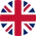 Current language flag